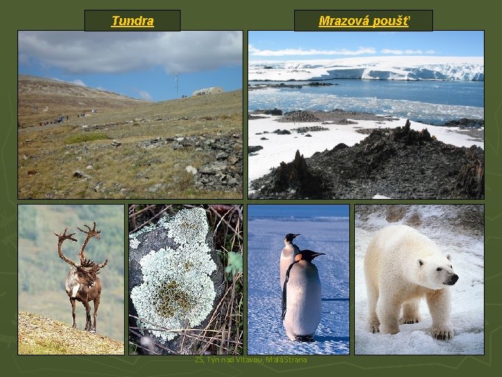 Tundra Mrazová poušť ZŠ, Týn nad Vltavou, Malá Strana Tundra Mrazová poušť ZŠ, Týn nad Vltavou, Malá Strana