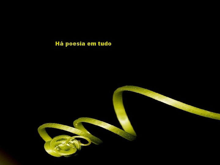 Há poesia em tudo 