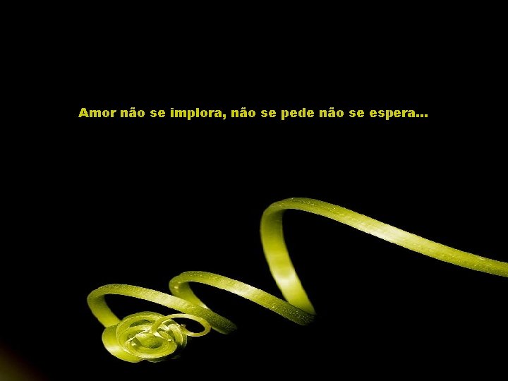 Amor não se implora, não se pede não se espera. . . 