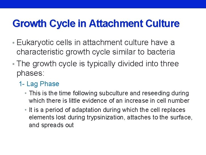 Growth Cycle in Attachment Culture • Eukaryotic cells in attachment culture have a characteristic