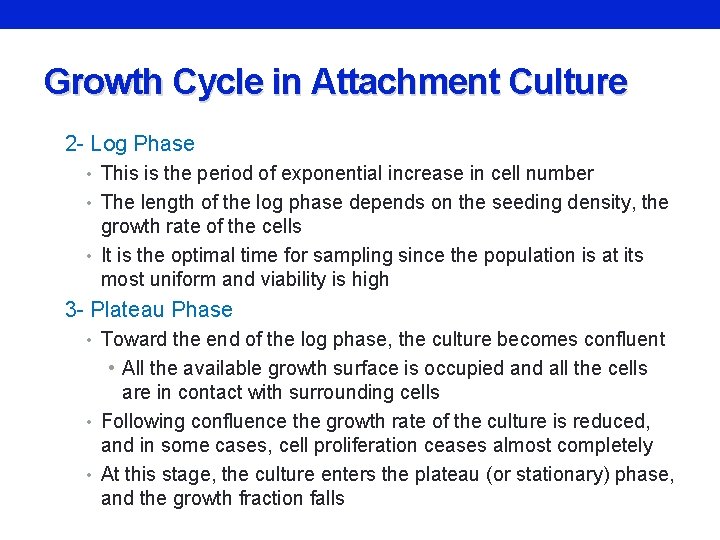 Growth Cycle in Attachment Culture 2 - Log Phase • This is the period
