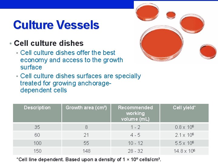 Culture Vessels • Cell culture dishes offer the best economy and access to the