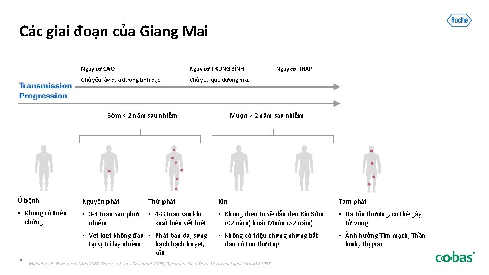 Các giai đoạn của Giang Mai Nguy cơ CAO Nguy cơ TRUNG BÌNH Chủ