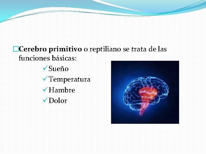 �Cerebro primitivo o reptiliano se trata de las funciones básicas: ü Sueño ü Temperatura