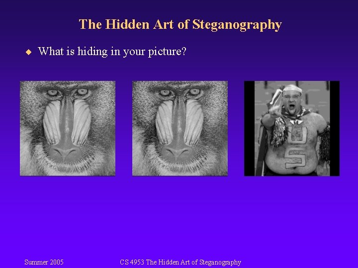 The Hidden Art of Steganography What is hiding(01)