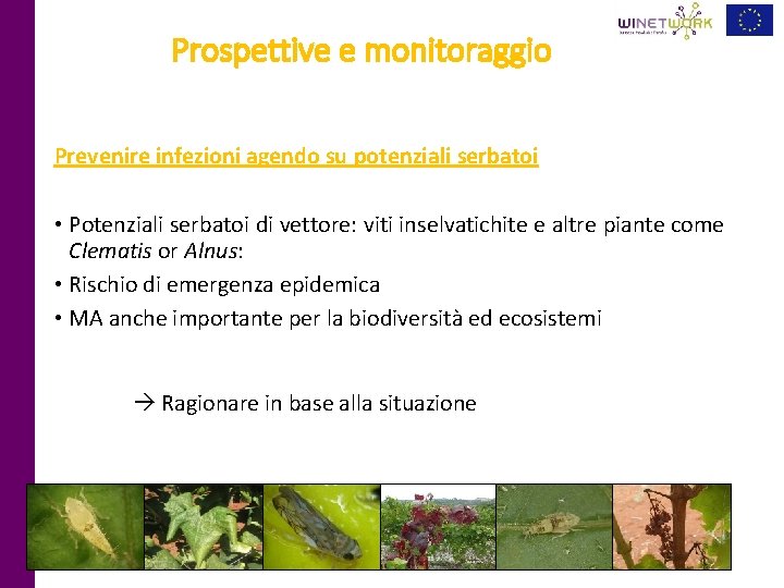 Prospettive e monitoraggio Prevenire infezioni agendo su potenziali serbatoi • Potenziali serbatoi di vettore: