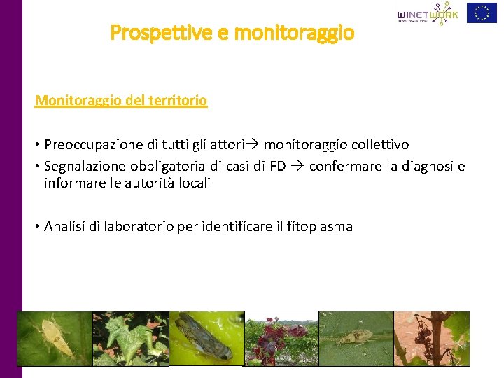 Prospettive e monitoraggio Monitoraggio del territorio • Preoccupazione di tutti gli attori monitoraggio collettivo