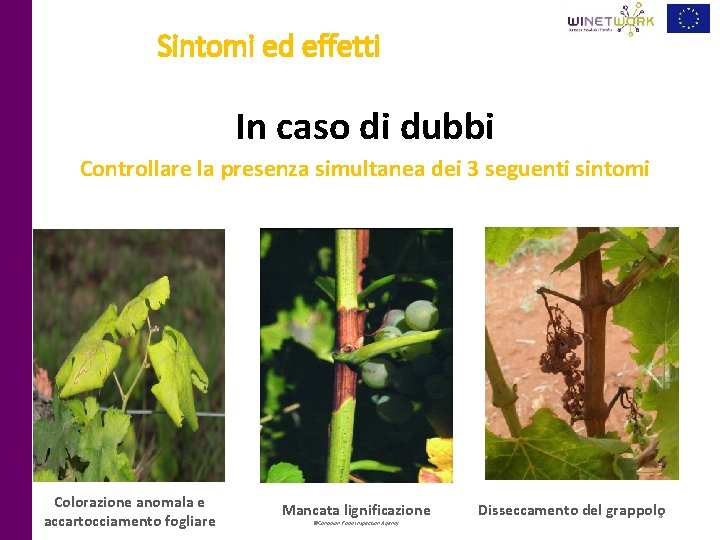 Sintomi ed effetti In caso di dubbi Controllare la presenza simultanea dei 3 seguenti