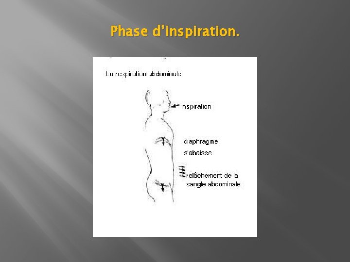Phase d’inspiration. Phase d’inspiration.