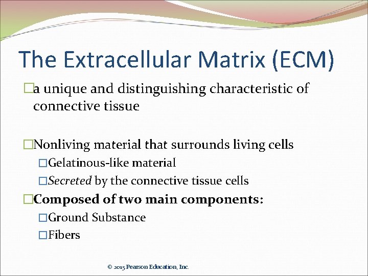 The Extracellular Matrix (ECM) �a unique and distinguishing characteristic of connective tissue �Nonliving material