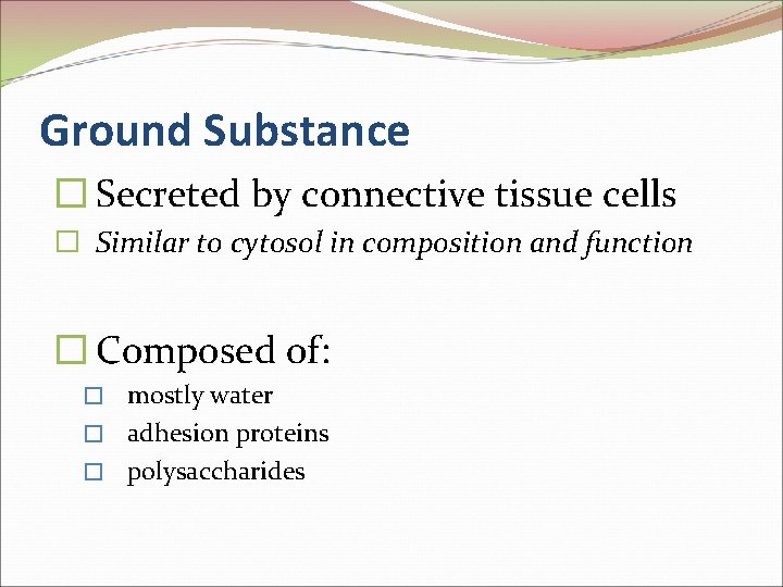 Ground Substance � Secreted by connective tissue cells � Similar to cytosol in composition