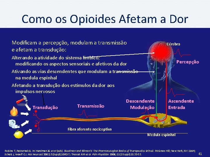 Como os Opioides Afetam a Dor Modificam a percepção, modulam a transmissão e afetam
