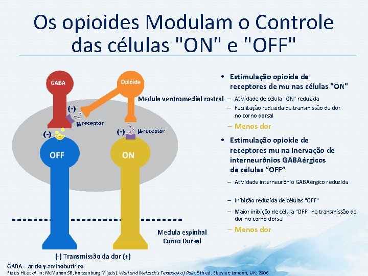Os opioides Modulam o Controle das células "ON" e "OFF" • Estimulação opioide de