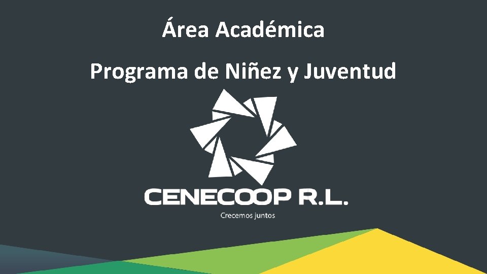 Área Académica Programa de Niñez y Juventud 