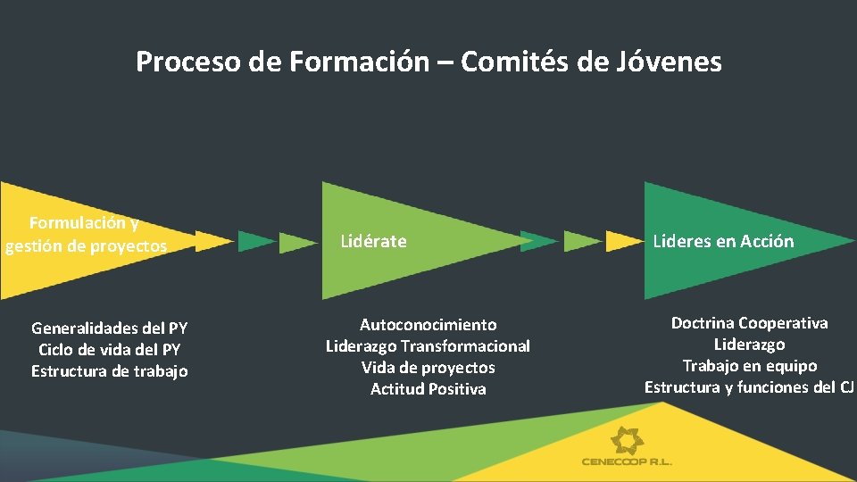 Proceso de Formación – Comités de Jóvenes Formulación y gestión de proyectos Generalidades del