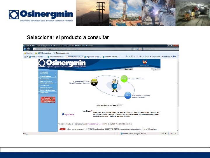 Seleccionar el producto a consultar 