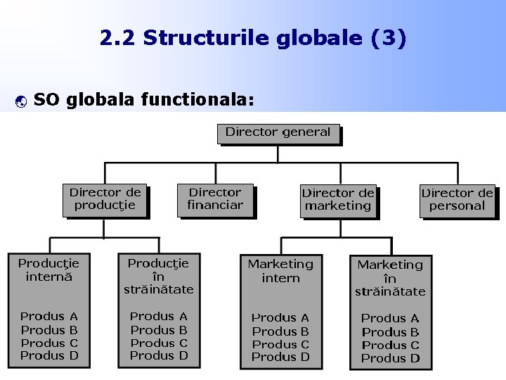 2. 2 Structurile globale (3) ý SO globala functionala: 