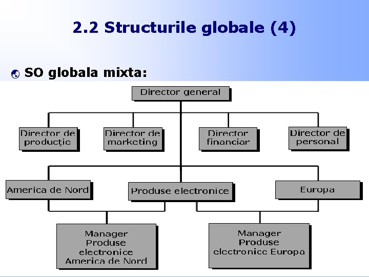 2. 2 Structurile globale (4) ý SO globala mixta: 