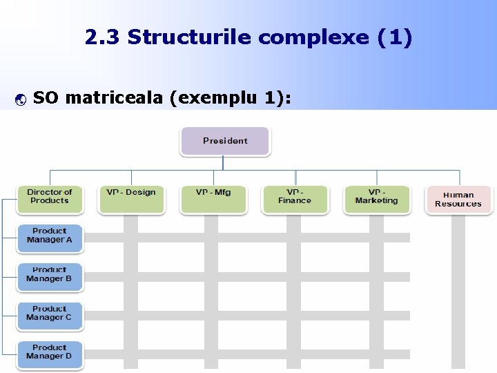 2. 3 Structurile complexe (1) ý SO matriceala (exemplu 1): 