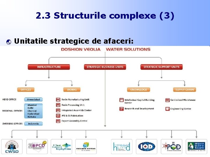 2. 3 Structurile complexe (3) ý Unitatile strategice de afaceri: 