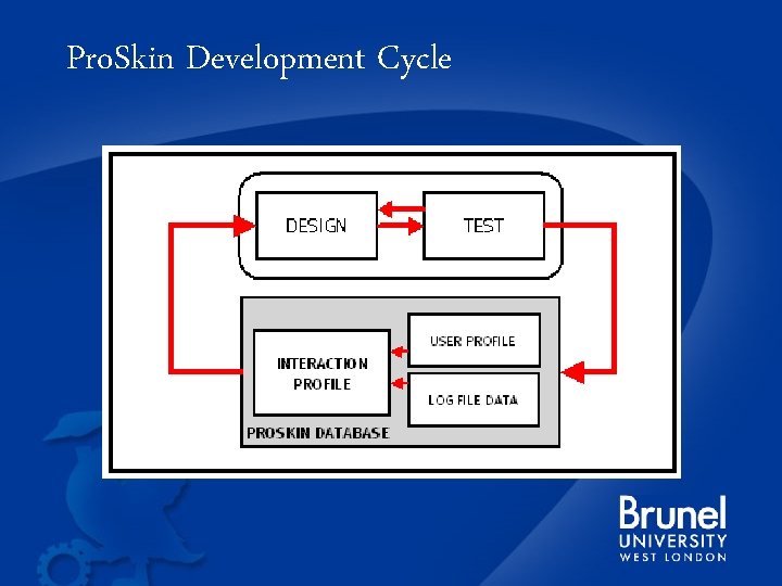 Pro. Skin Development Cycle 