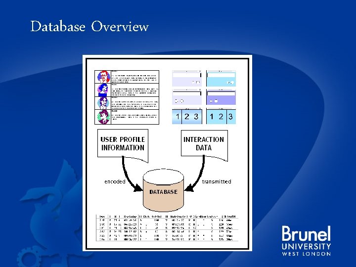 Database Overview 