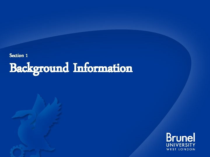 Section 1 Background Information 