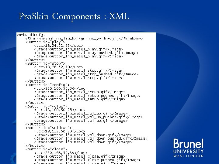 Pro. Skin Components : XML 