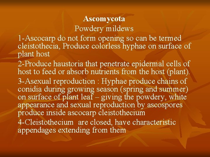 Ascomycota Powdery mildews 1 -Ascocarp do not form opening so can be termed cleistothecia,