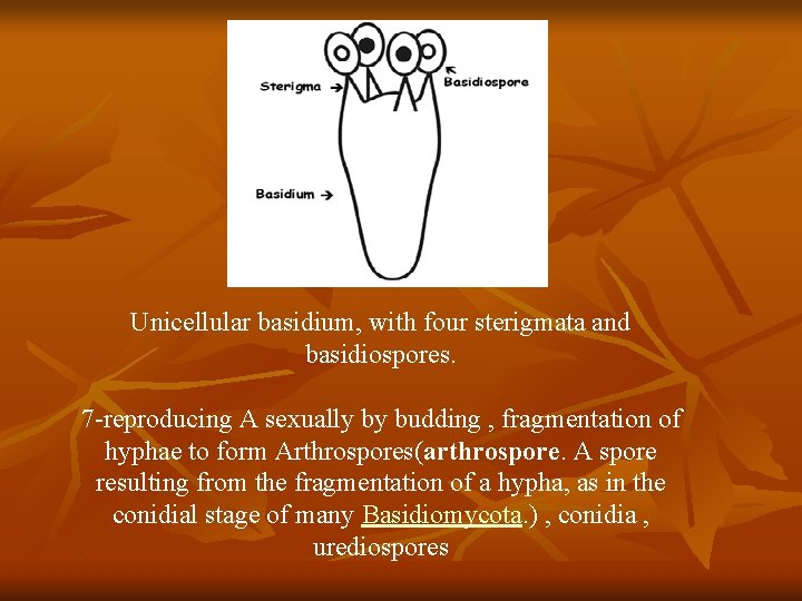 Unicellular basidium, with four sterigmata and basidiospores. 7 -reproducing A sexually by budding ,