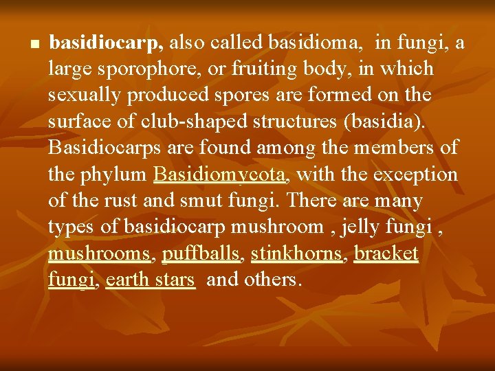 n basidiocarp, also called basidioma, in fungi, a large sporophore, or fruiting body, in