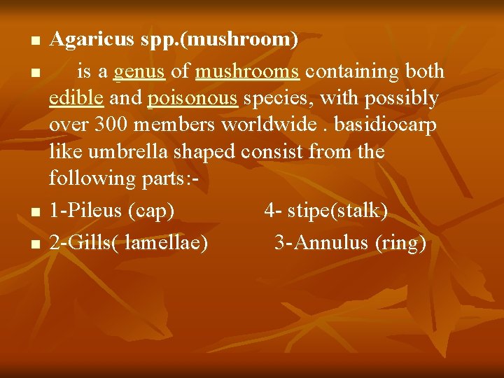 n n Agaricus spp. (mushroom) is a genus of mushrooms containing both edible and