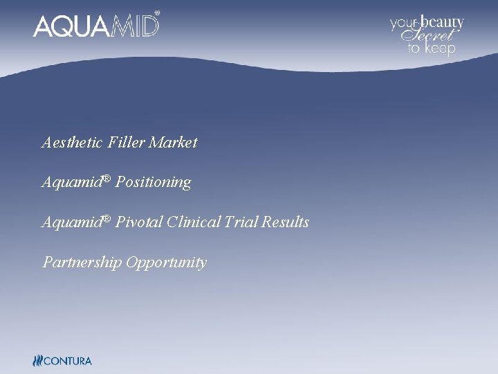Aesthetic Filler Market Aquamid® Positioning Aquamid® Pivotal Clinical Trial Results Partnership Opportunity Aesthetic Filler Market Aquamid® Positioning Aquamid® Pivotal Clinical Trial Results Partnership Opportunity