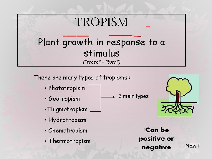 TROPISM Plant growth in response to a stimulus (“tropo” – ”turn”) . There are