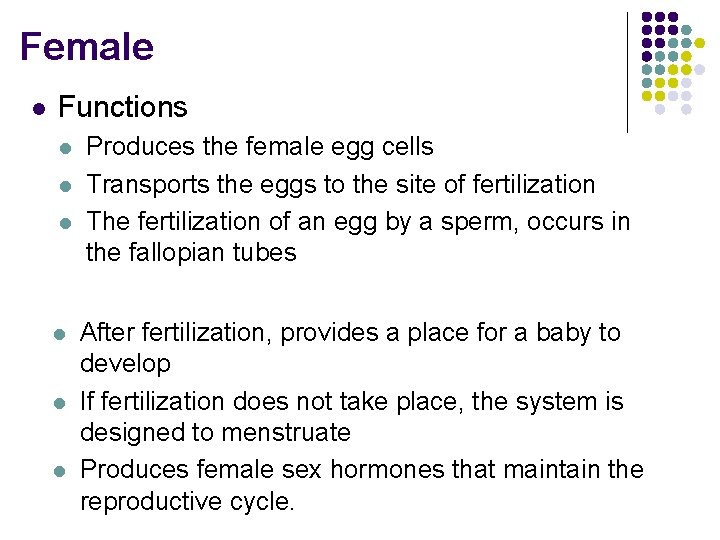 Female l Functions l l l Produces the female egg cells Transports the eggs
