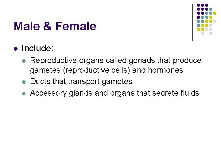 Male & Female l Include: l l l Reproductive organs called gonads that produce