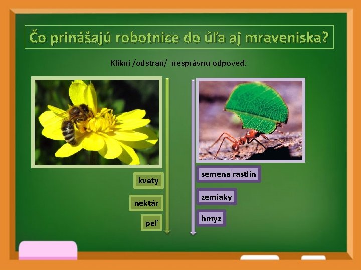 Čo prinášajú robotnice do úľa aj mraveniska? Klikni /odstráň/ nesprávnu odpoveď. kvety nektár peľ