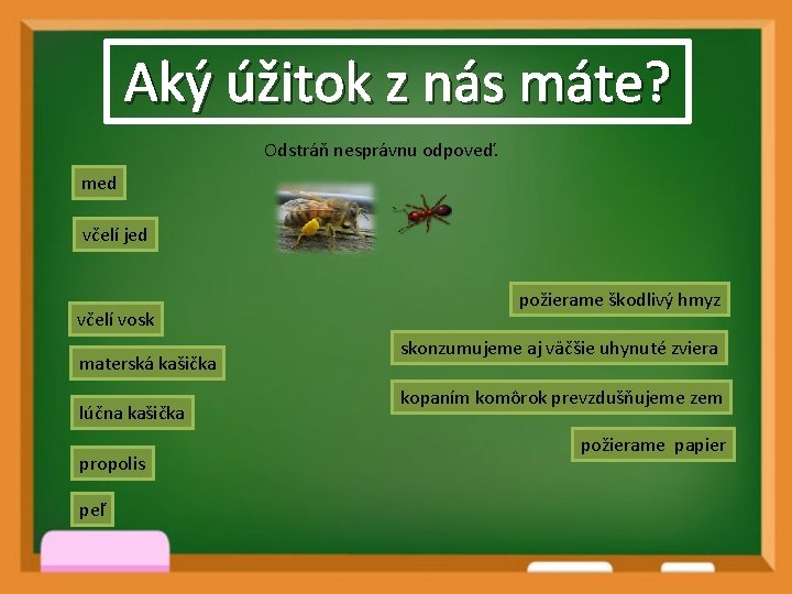 Aký úžitok z nás máte? Odstráň nesprávnu odpoveď. med včelí jed včelí vosk materská