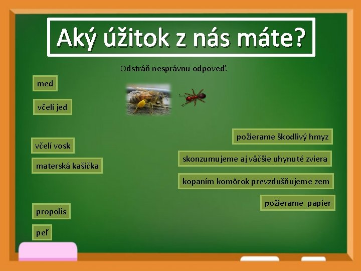 Aký úžitok z nás máte? Odstráň nesprávnu odpoveď. med včelí jed včelí vosk materská