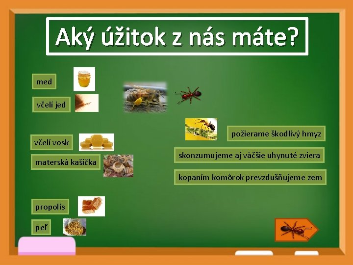 Aký úžitok z nás máte? med včelí jed včelí vosk materská kašička požierame škodlivý