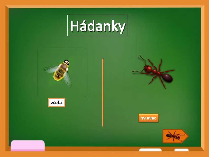 Hádanky včela mravec 