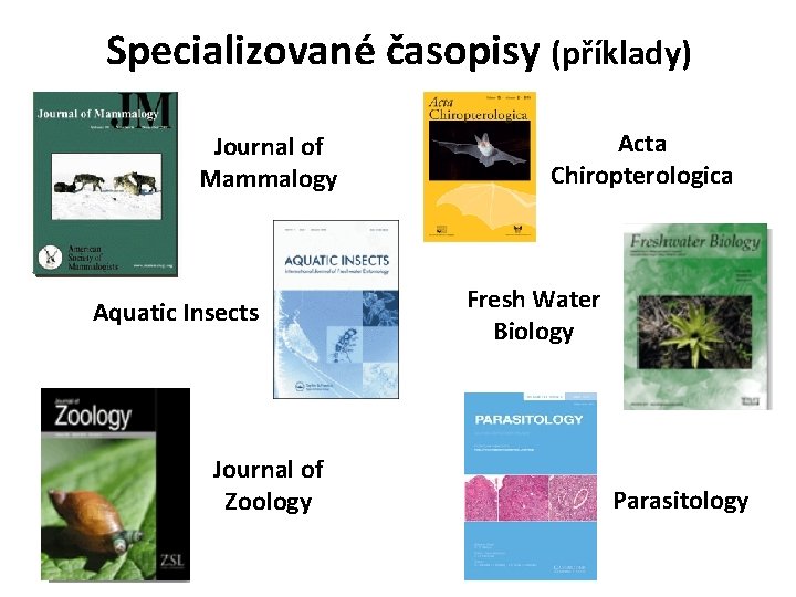 Specializované časopisy (příklady) Journal of Mammalogy Aquatic Insects Journal of Zoology Acta Chiropterologica Fresh