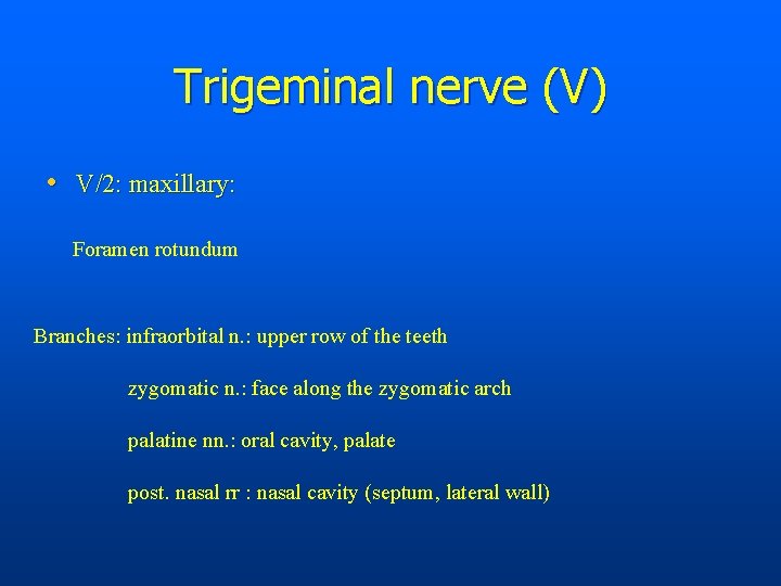 Trigeminal nerve (V) • V/2: maxillary: Foramen rotundum Branches: infraorbital n. : upper row