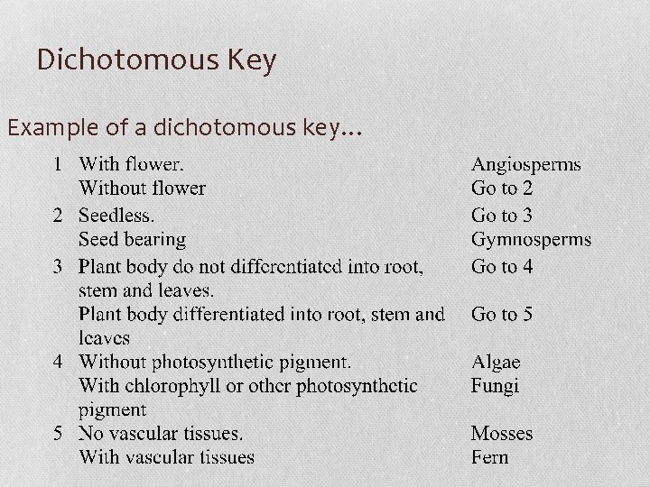 Dichotomous Key Example of a dichotomous key… 