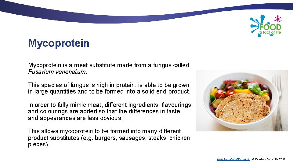 Mycoprotein is a meat substitute made from a fungus called Fusarium venenatum. This species