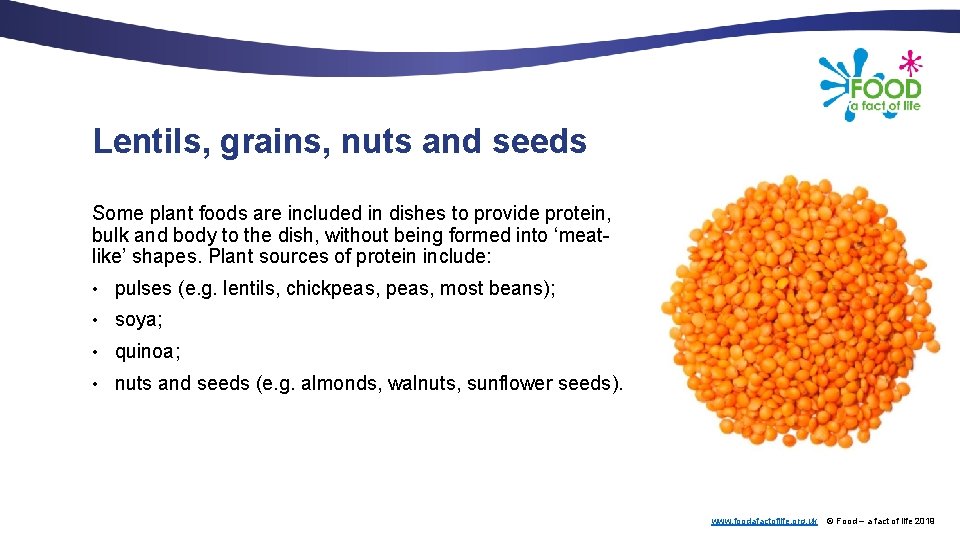 Lentils, grains, nuts and seeds Some plant foods are included in dishes to provide