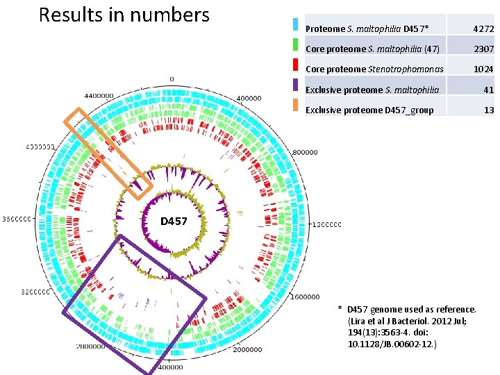 Results in numbers Proteome S. maltophilia D 457* 4272 Core proteome S. maltophilia (47)