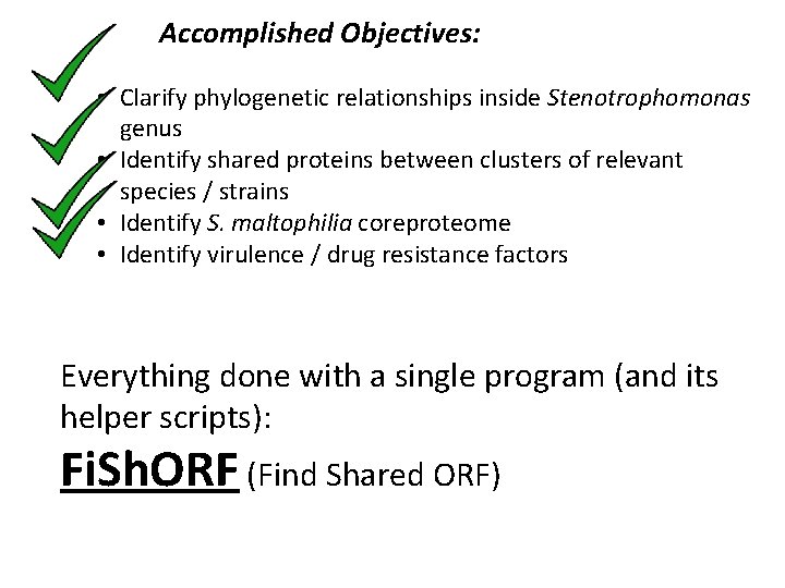 Accomplished Objectives: • Clarify phylogenetic relationships inside Stenotrophomonas genus • Identify shared proteins between