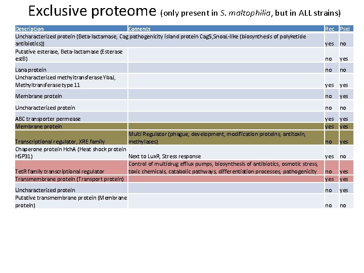 Exclusive proteome (only present in S. maltophilia, but in ALL strains) Description Coments Uncharacterized
