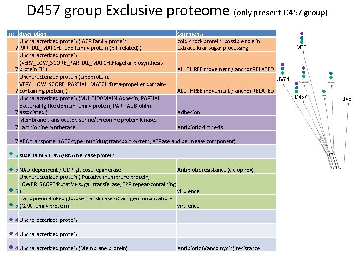 D 457 group Exclusive proteome (only present D 457 group) In: description Uncharacterized protein